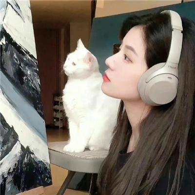 精灵高中:鬼魂高中